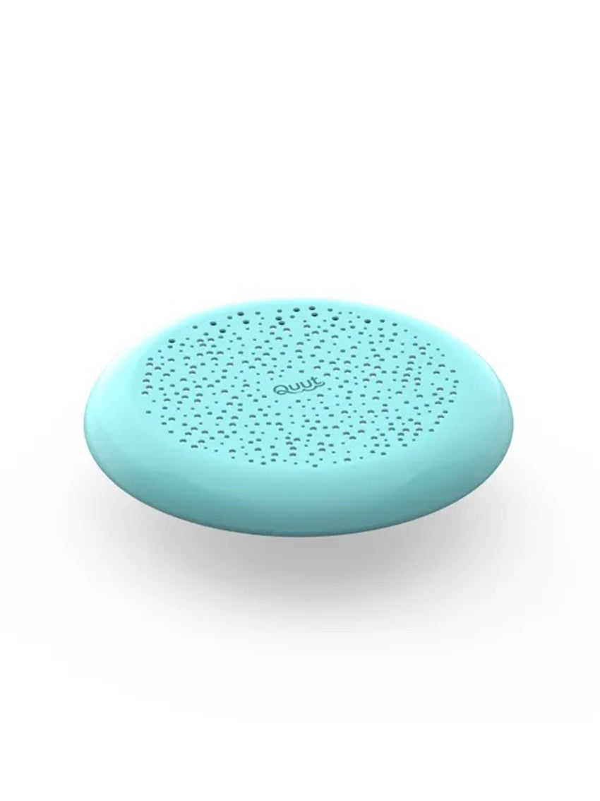 Flying Disc
