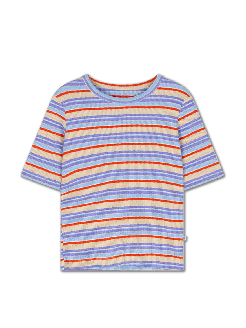 Slim T-Shirt Multi Stripe