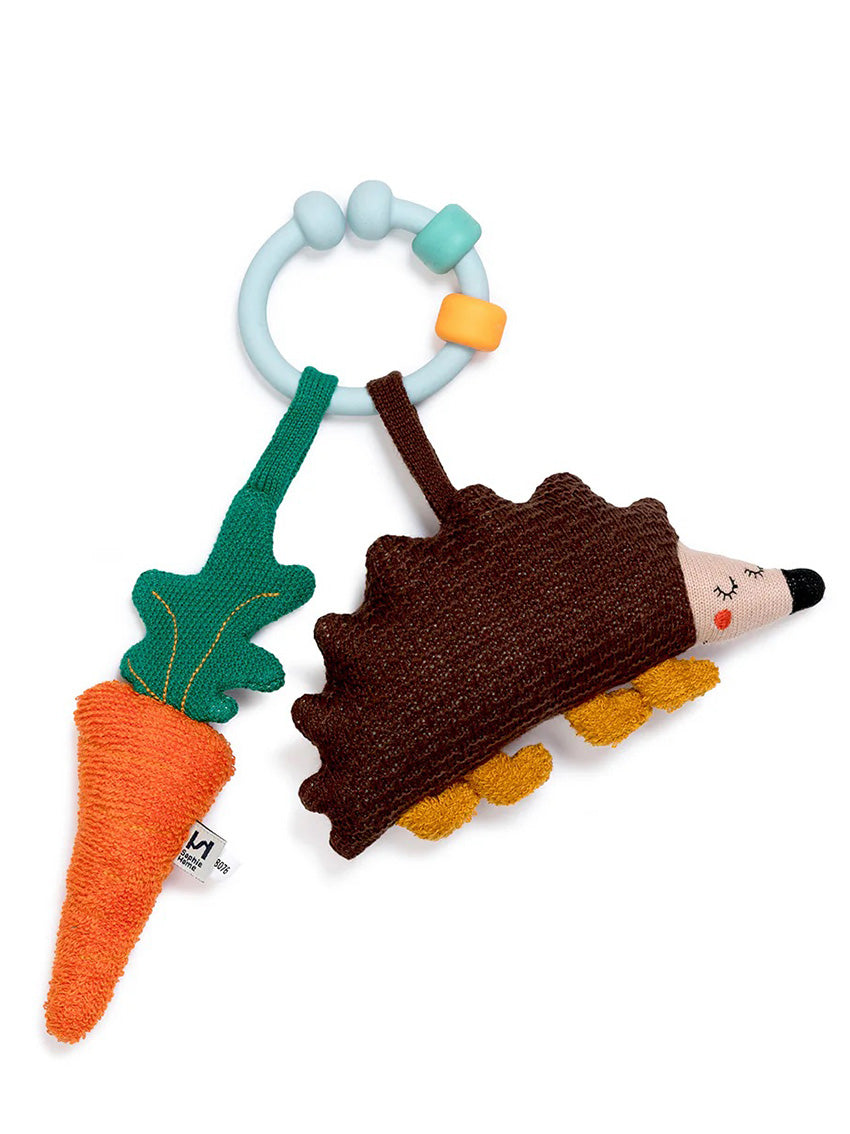 Hedgehog Activity Toy