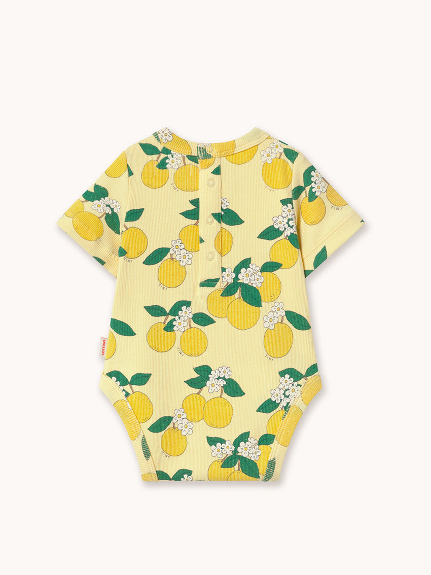 Orange Rib Body Mellow Yellow