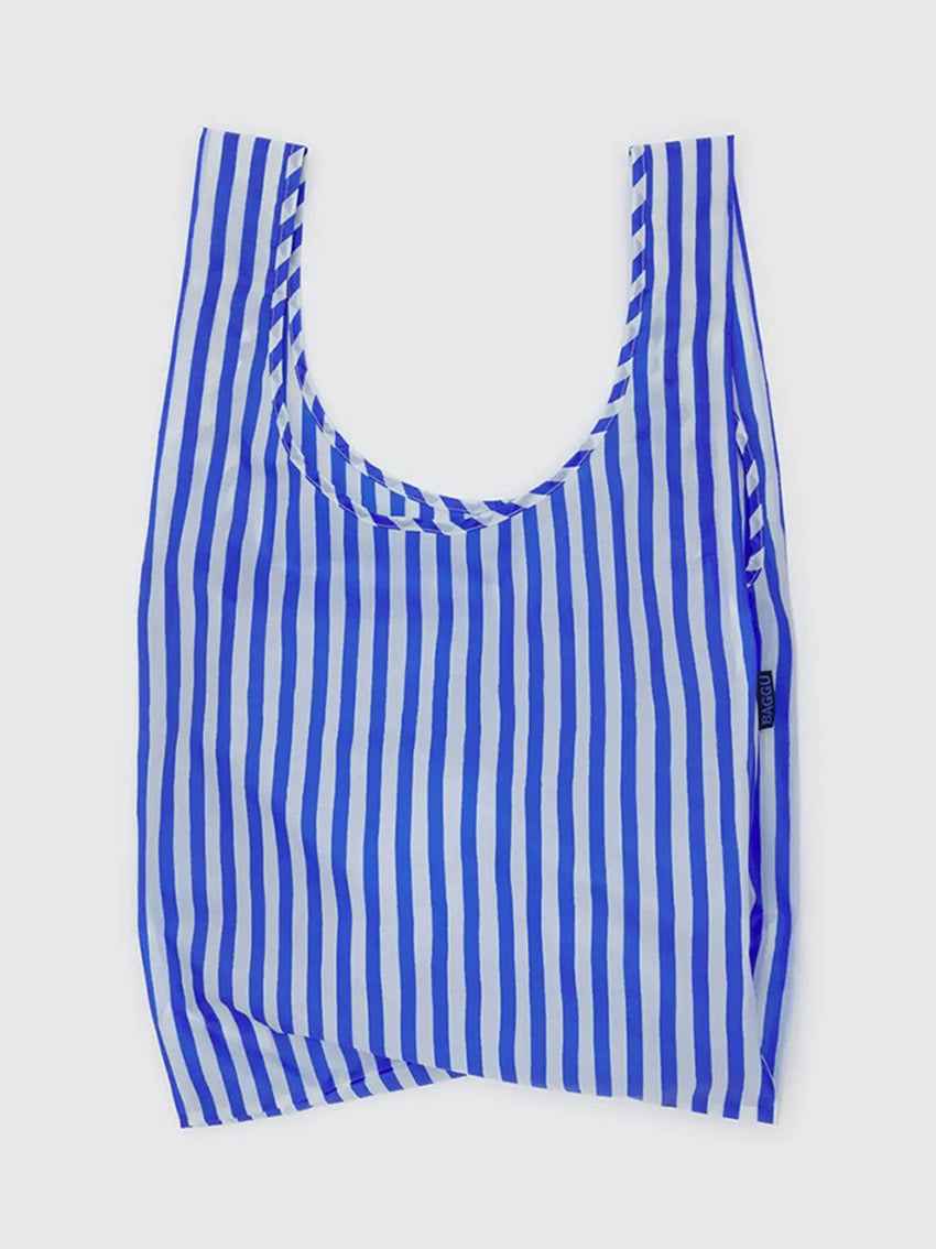 Standard Baggu Blue Painted Stripe