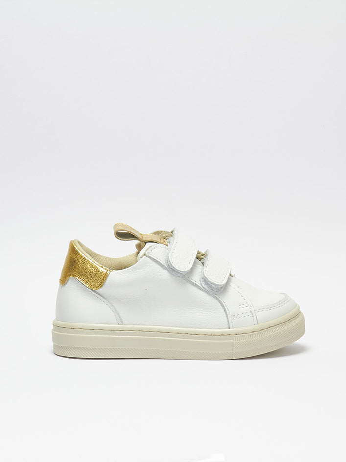 Paleari Gold/White