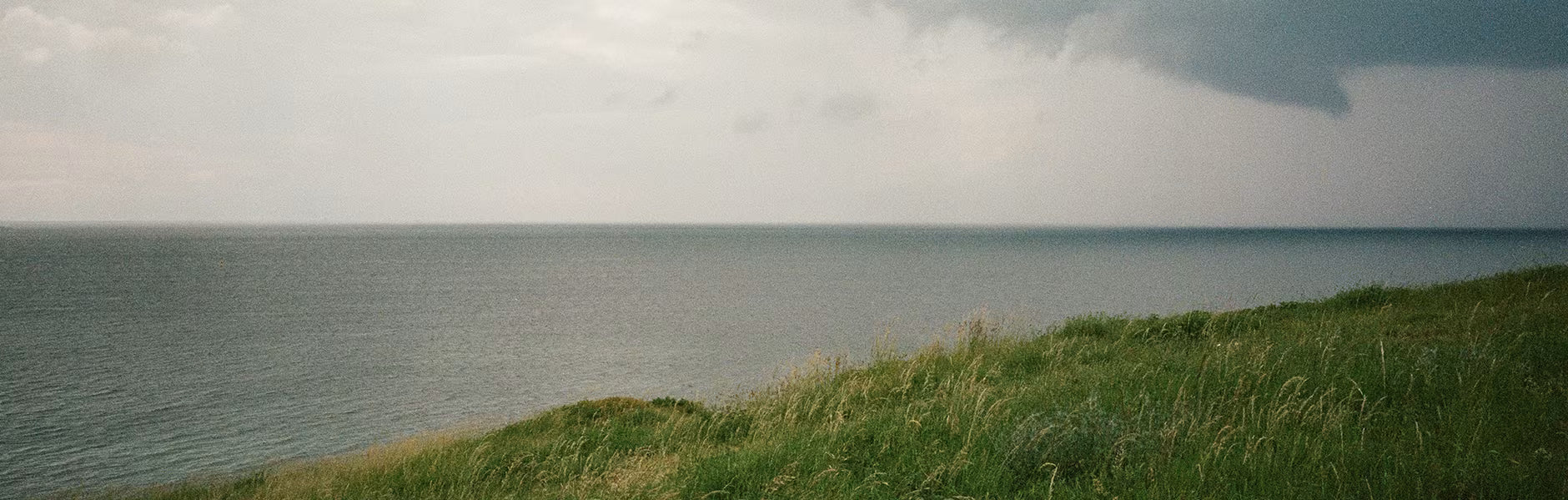 contemporary classics with a clean conscience