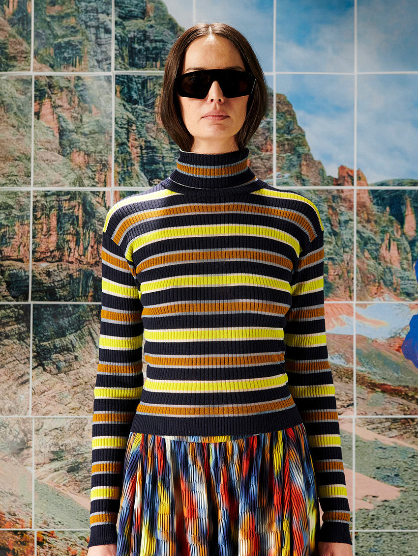 Line Turtleneck Navy Stripes
