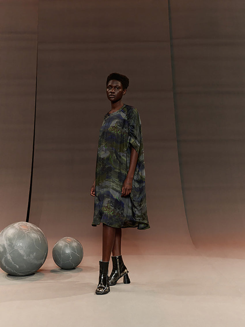 Renew Dress Fishes Light