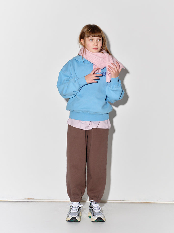 Hooded Sweater Alaska Blue