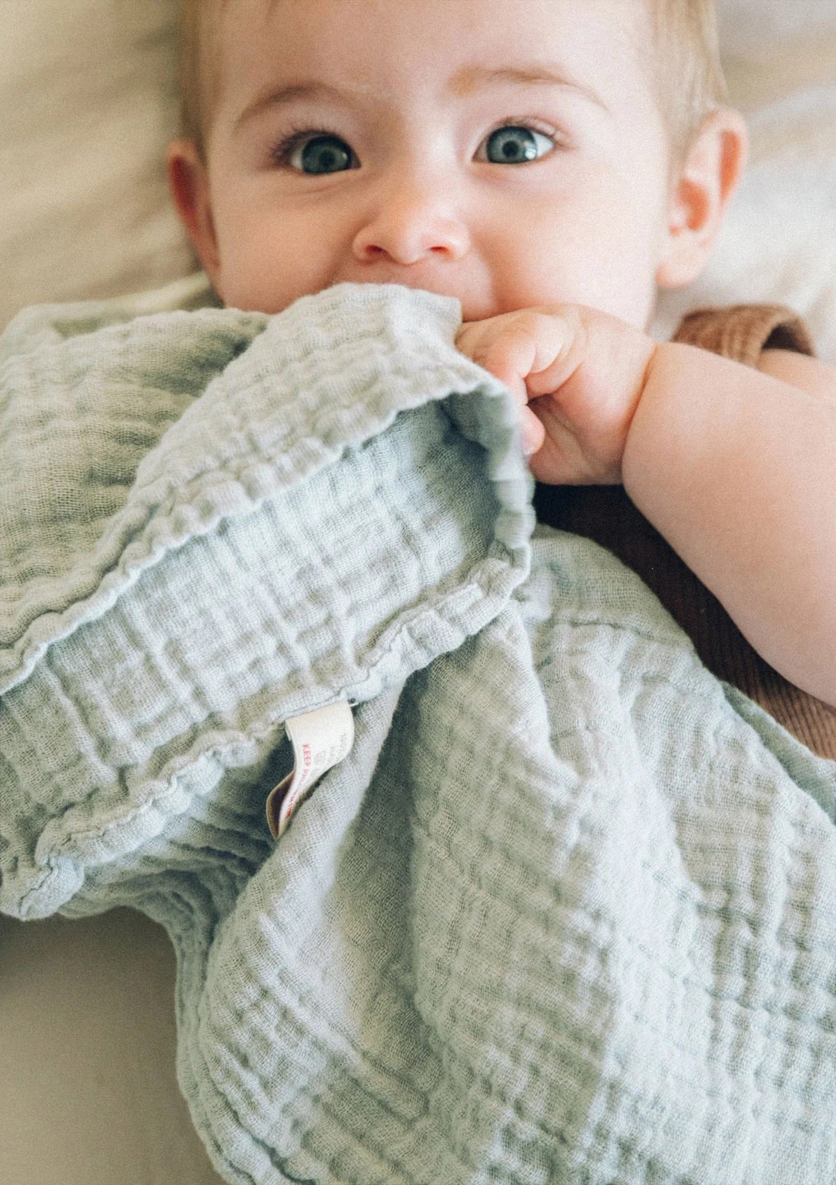 Nooshi Cuddle Seafoam