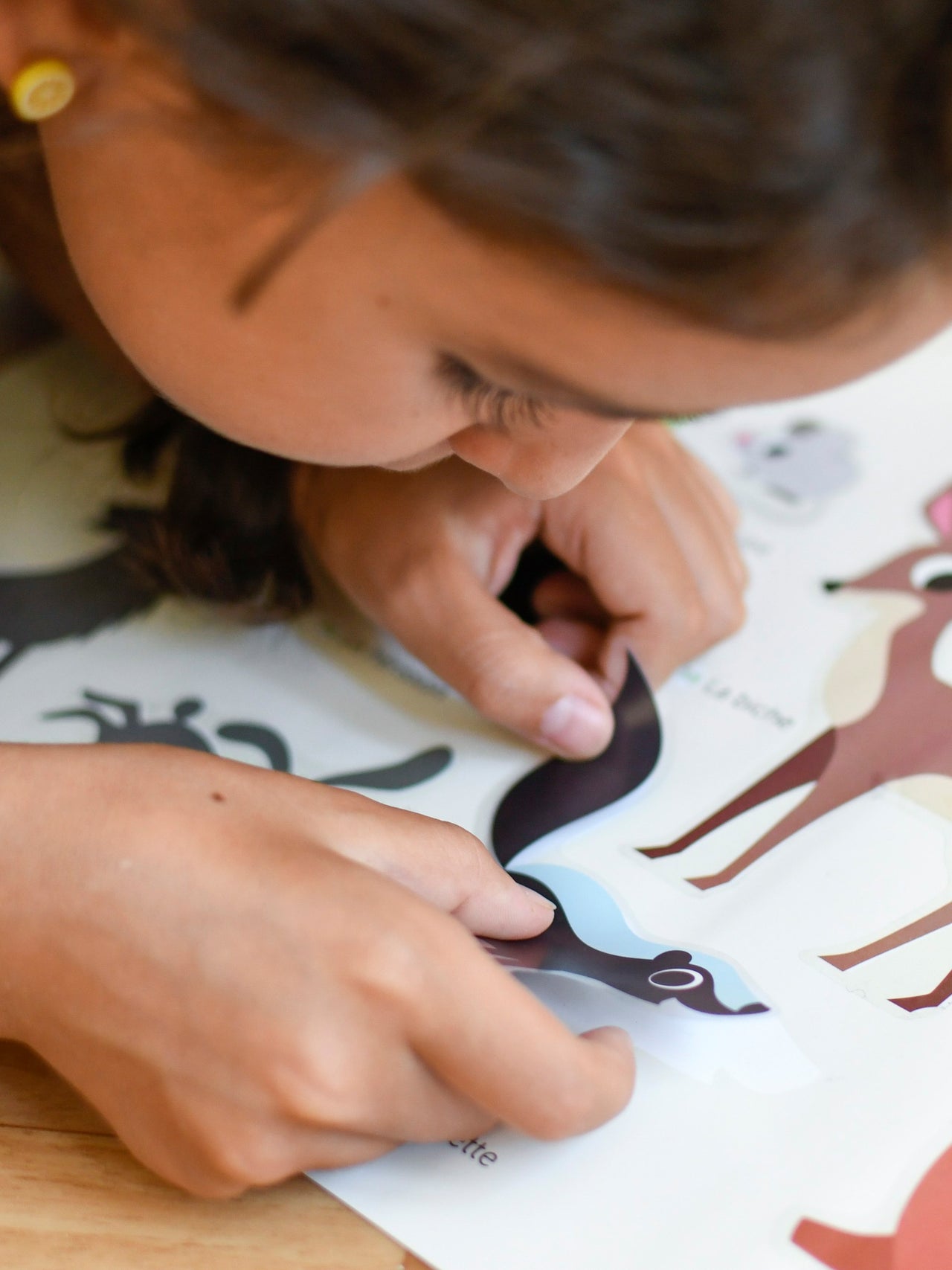 Sticker Poster Forest