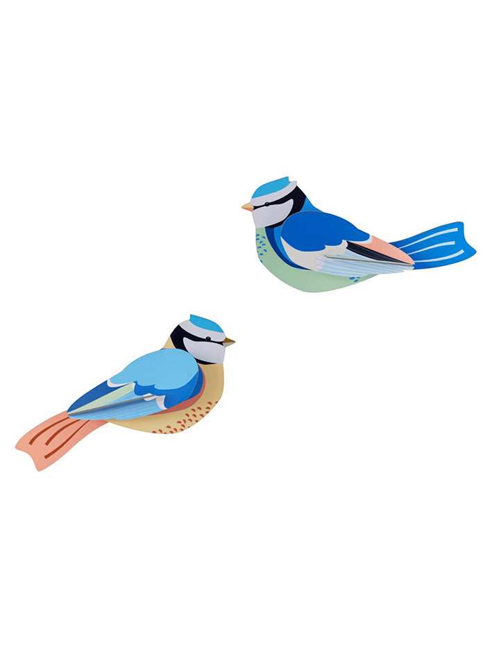 Garden Bird - Blue Tits