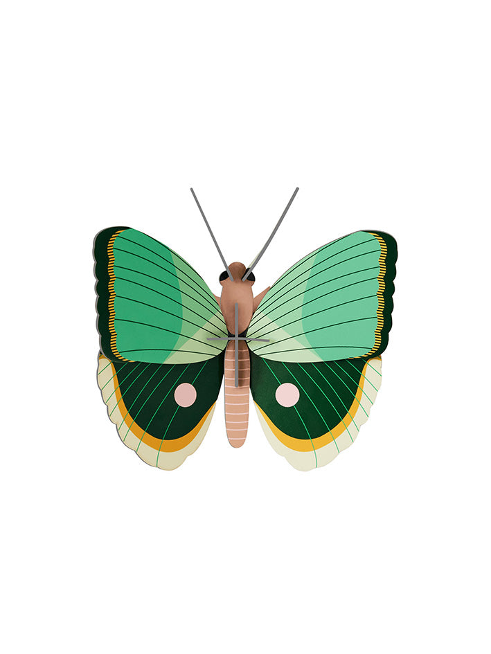 Small Insects - Fern Striped Butterfly