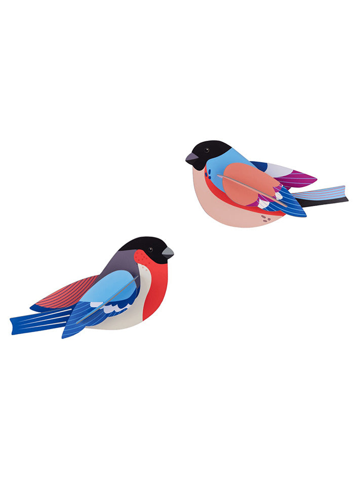Garden Bird - Finches