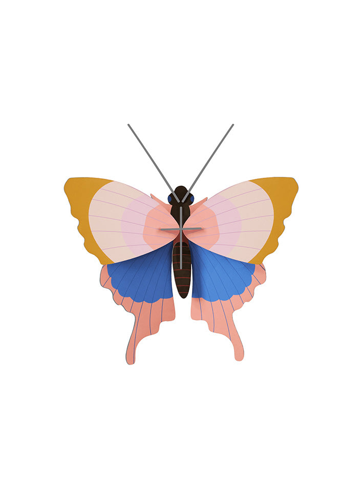 Small Insects - Gold Rim Butterfly