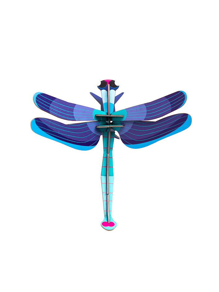 Small Insects - Sapphire Dragonfly