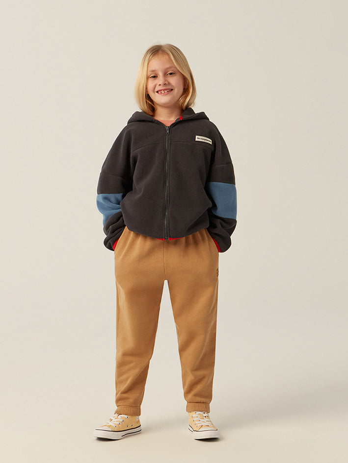 Color Block Polar Zipped Sweatshirt Grey