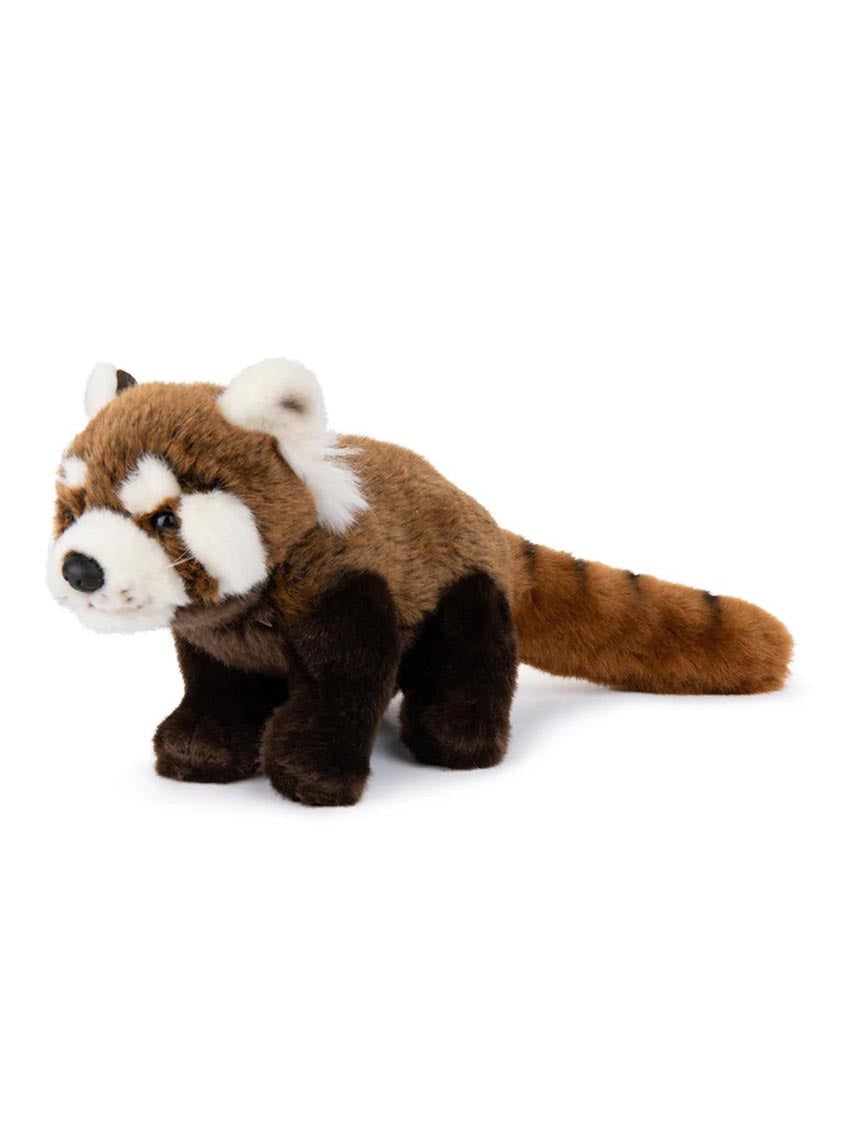 Red Panda 23cm