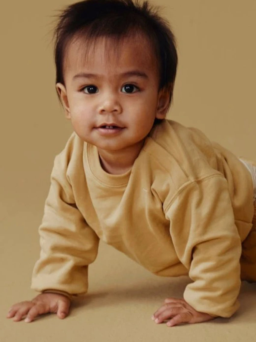 Baby Dropped Shoulder Sweater Cookie