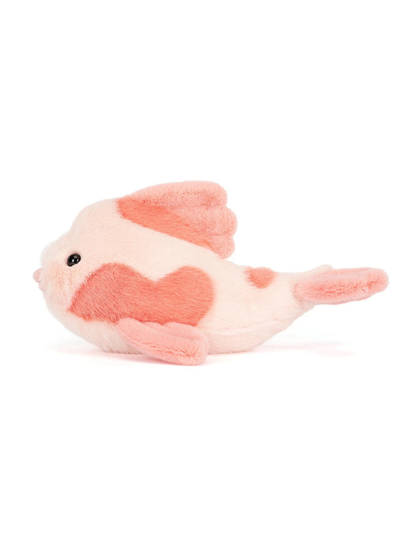 Fancy Carp
