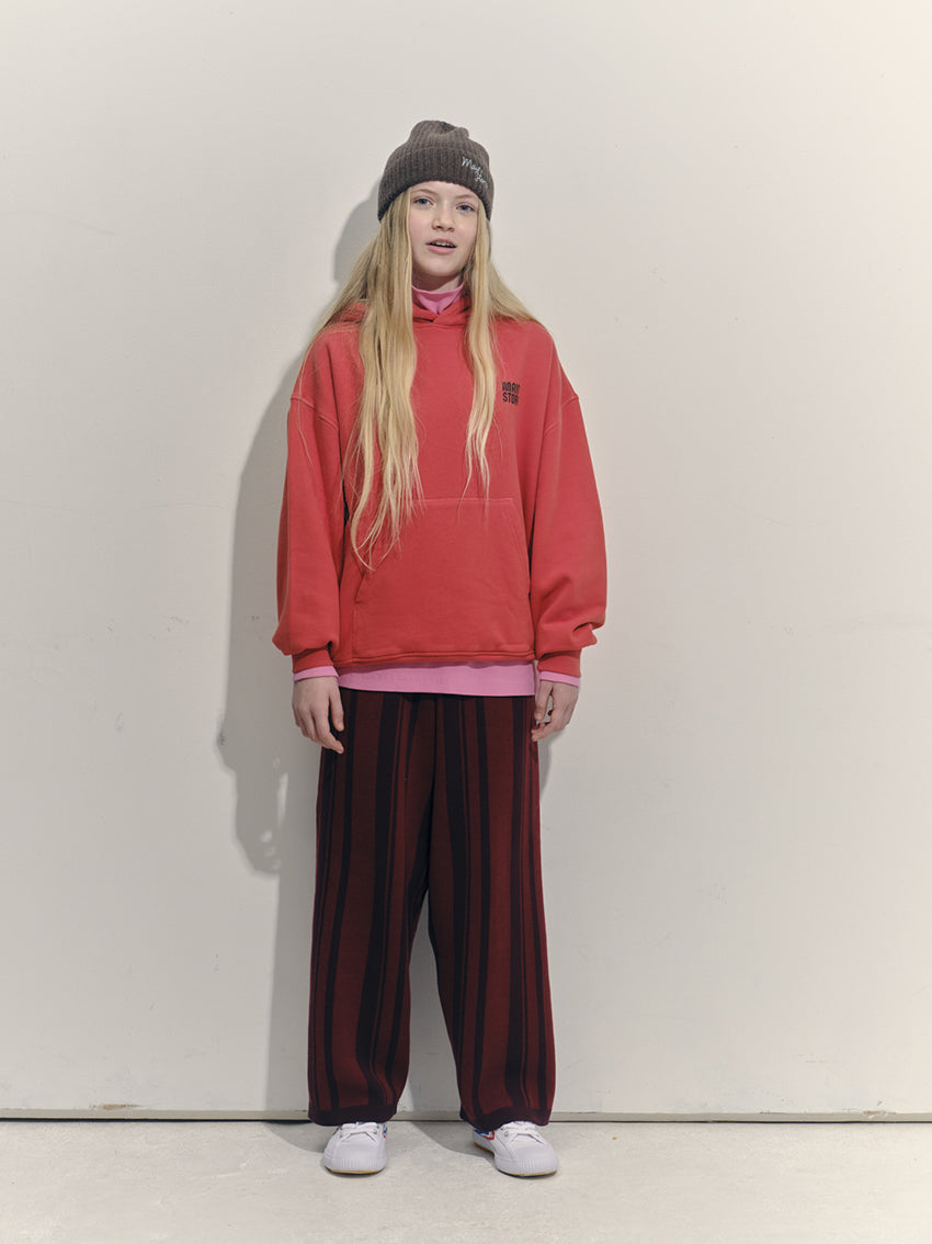 Hooded Sweatshirt Red Clay