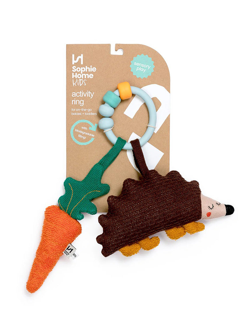 Hedgehog Activity Toy