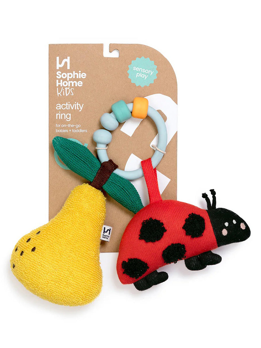 Ladybird Activity Toy