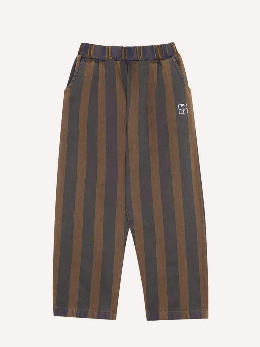 Blue Stripes Trousers