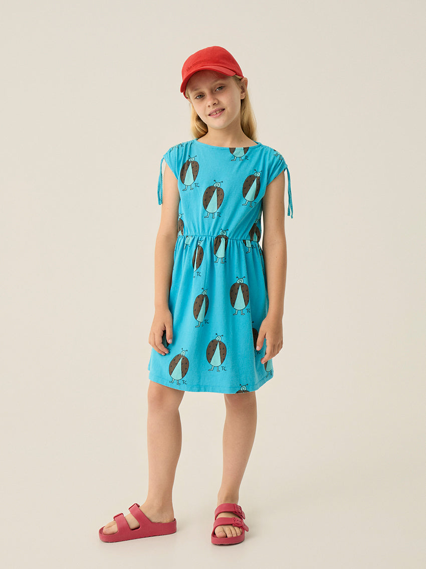 Ladybug Allover Blue Dress