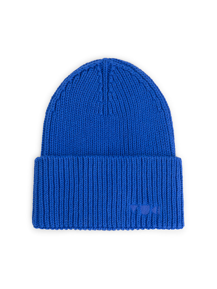Blueberry Beanie