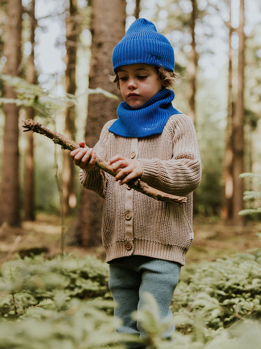 Blueberry Beanie