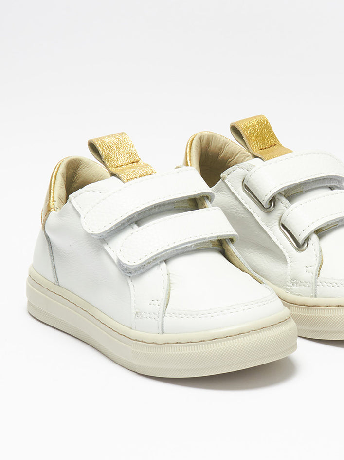 Paleari Gold/White