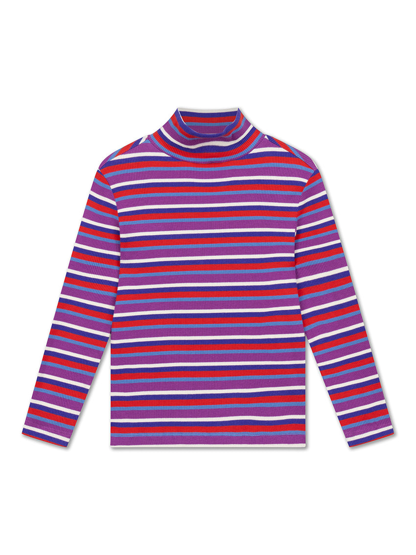 Turtle Neck Multi Color Stripe