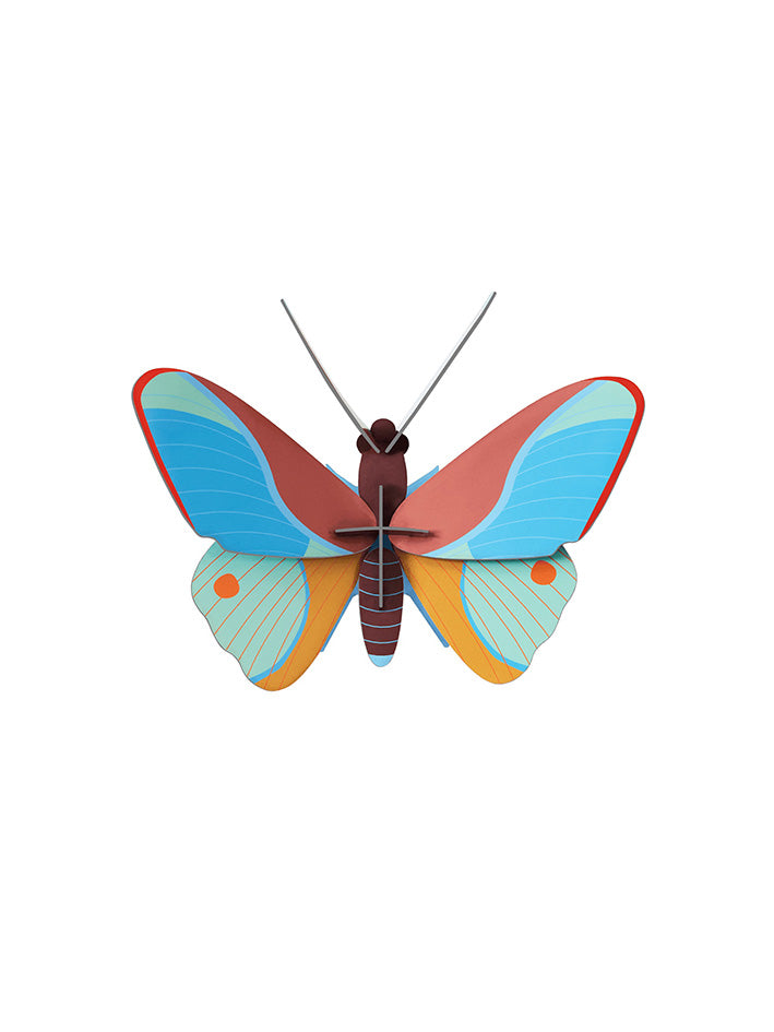 Small Insects - Claudina Butterfly