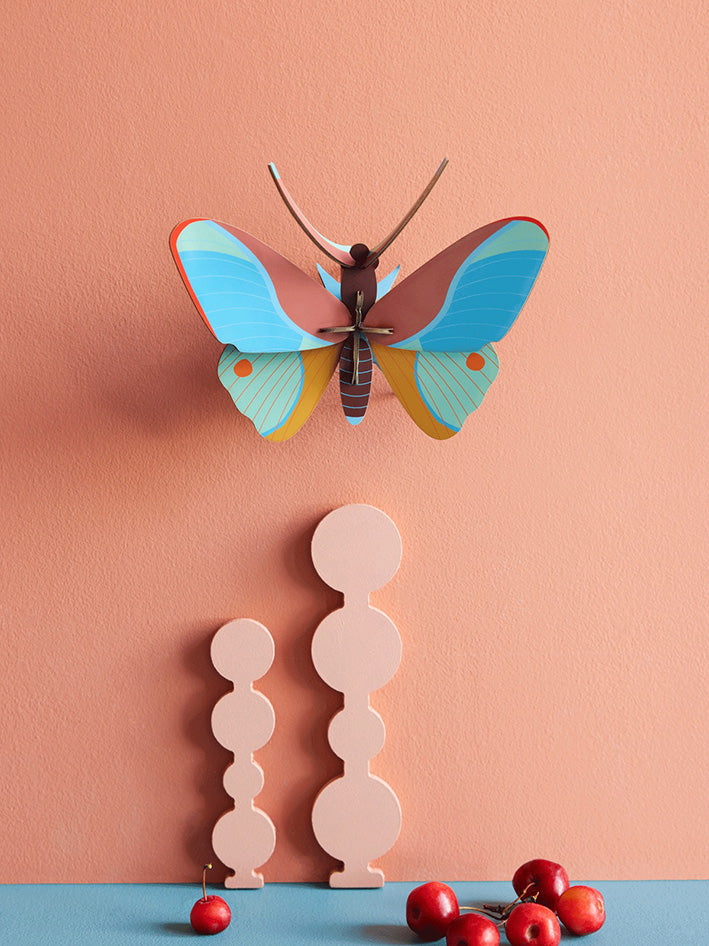Small Insects - Claudina Butterfly
