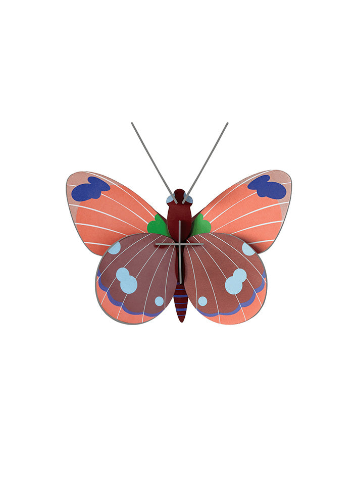 Small Insects - Delias Butterfly