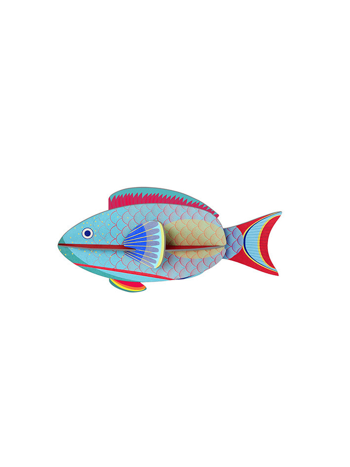 Small Sea Creature - Parrotfish