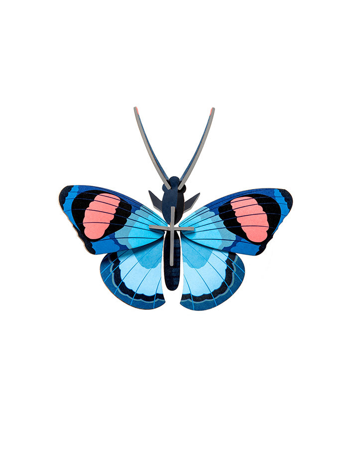 Small Insects - Peacock Butterfly