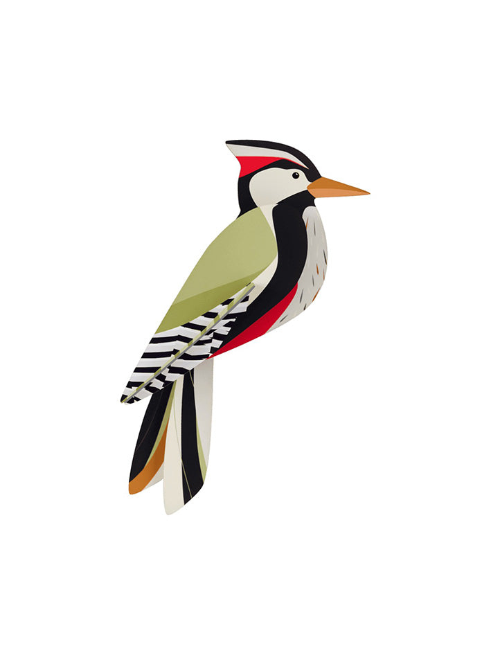 Garden Bird - Woodpecker