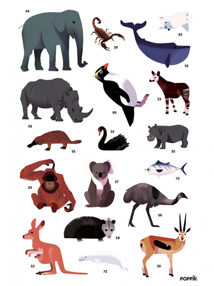 Making Things – Sticker Poster Animals Of The World